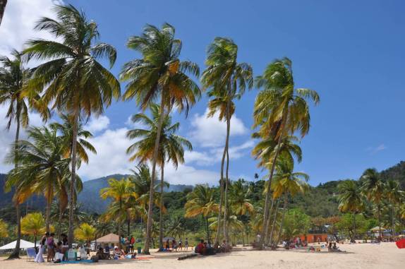 Coqueiros em Maracas Bay, na ilha de  Trinidad